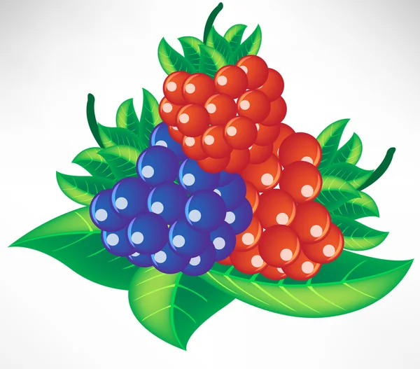 Geassorteerde berry op Bladeren — Stockvector