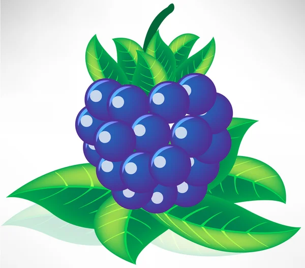 新鲜蓝莓叶子上 — 图库矢量图片