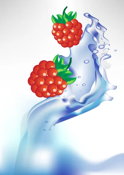 Fresh berry in splash of water — Stock Vector