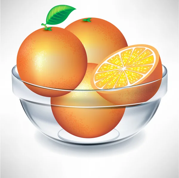 Transparent bowl of oranges — Stock Vector