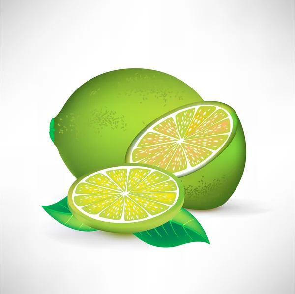 Lime whole half and slice — Stock Vector