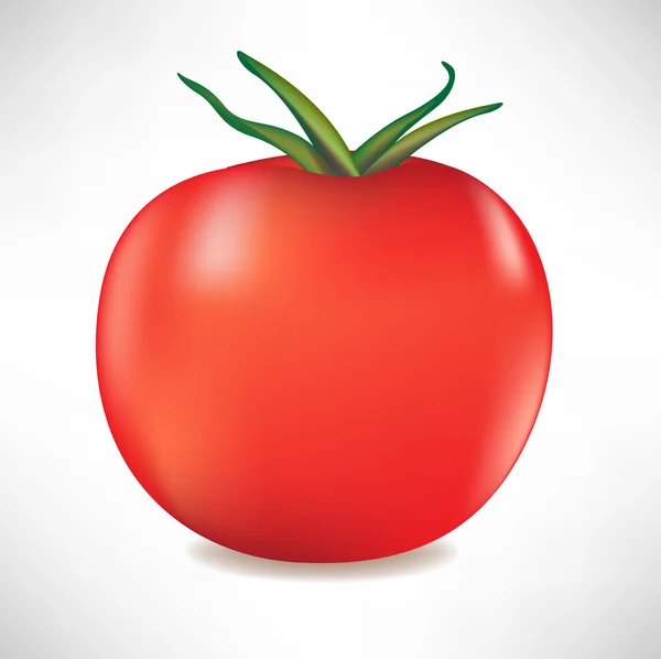 Tomate simple isolée — Image vectorielle
