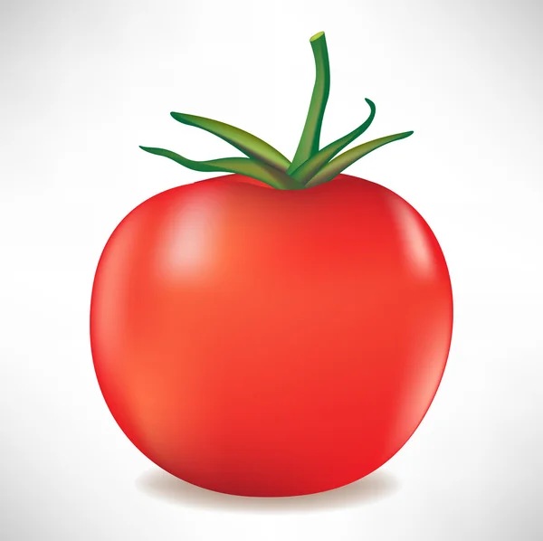 Tomate con rama — Vector de stock