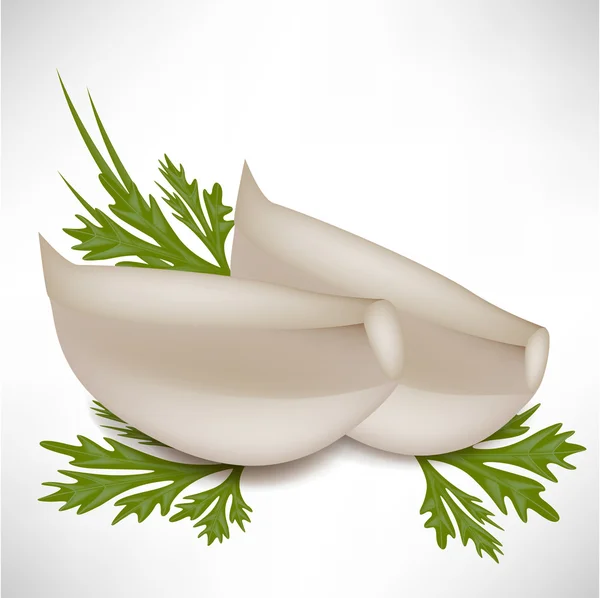 Dientes de ajo con perejil — Vector de stock