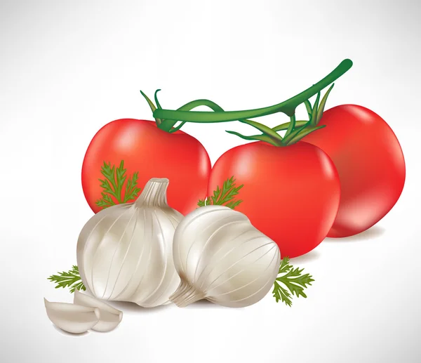 Knoflook en tomaat bos — Stockvector