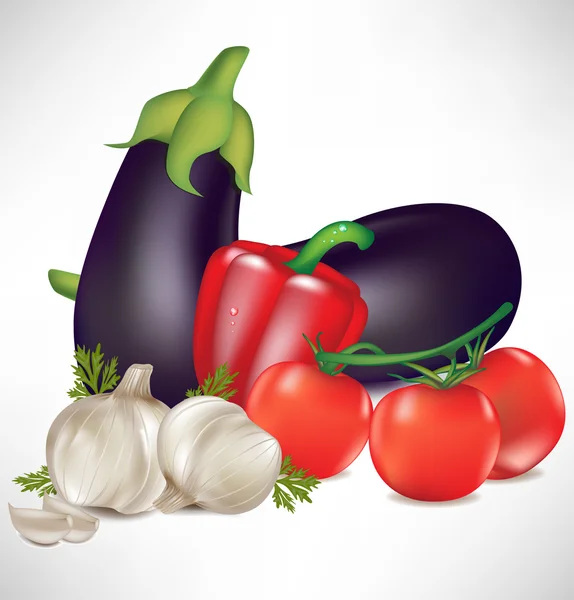 Fresh group of vegetables — Stock Vector