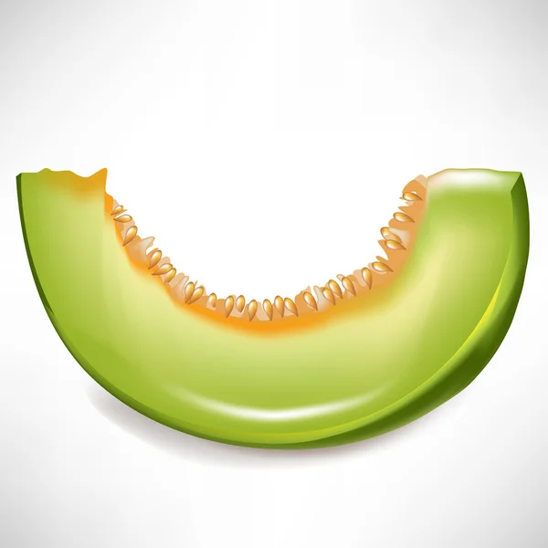 Tranche de melon isolée — Image vectorielle