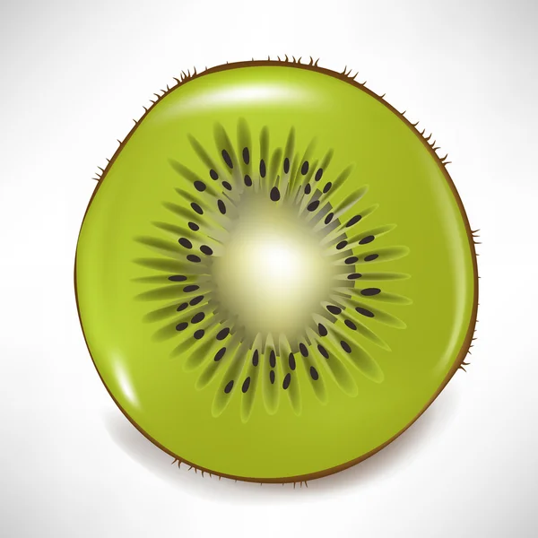 Kiwi tranché isolé — Image vectorielle