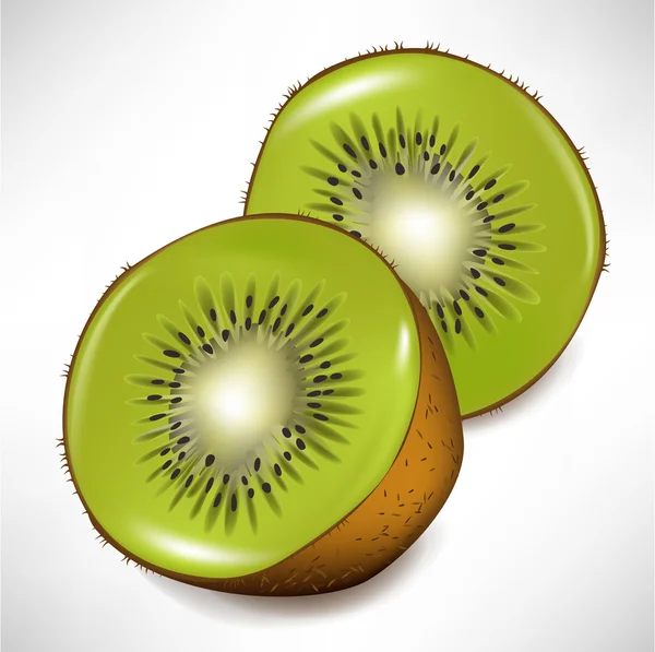 Kiwi fruit hele en segment — Stockvector