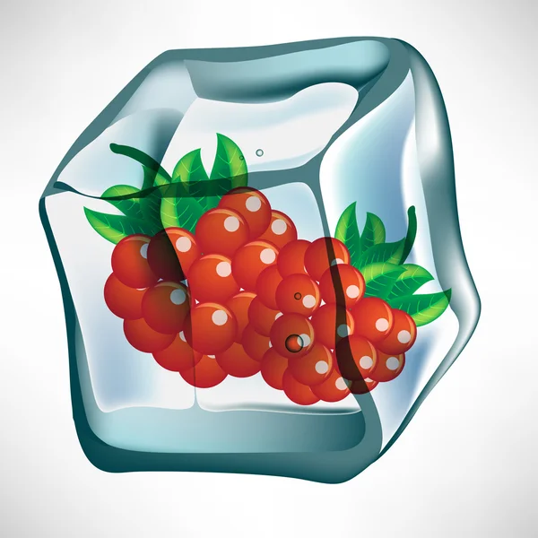 Berry in ice cube — Stock Vector