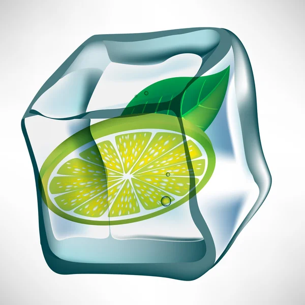 Cubetto di ghiaccio con fetta di limone — Vettoriale Stock