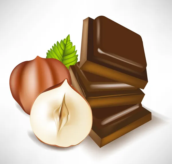 Kawałki czekolady i orzechów laskowych na białym tle — Wektor stockowy
