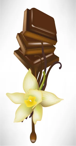 香草和巧克力片融化 — 图库矢量图片
