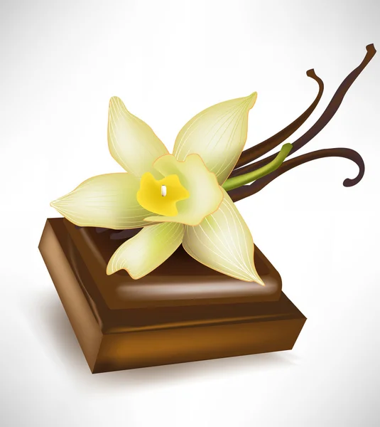 Schokoladentablette und Vanilleblume — Stockvektor
