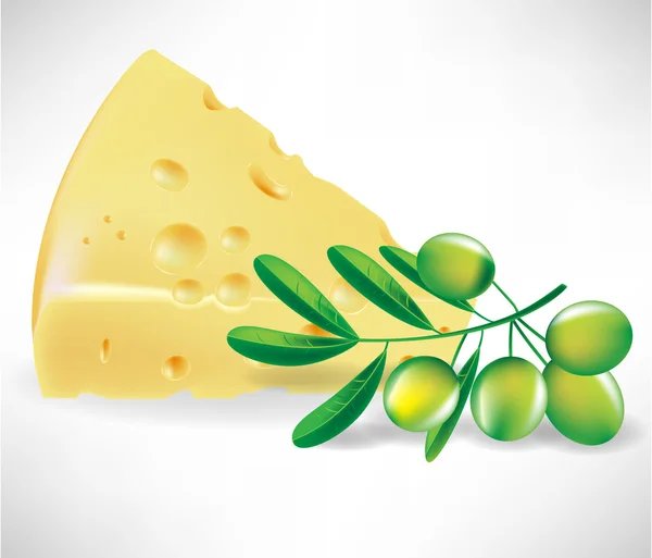 Cheese and branch of olives — Stock Vector
