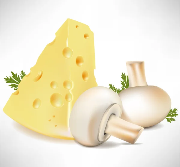 Stück Käse mit zwei Pilzen — Stockvektor