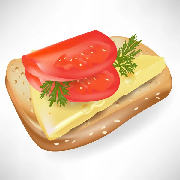 Tomate en rebanada de pan aislado — Vector de stock