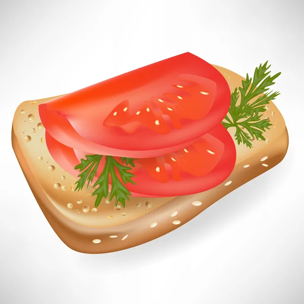 Tomato on bread slice isolated — Stock Vector