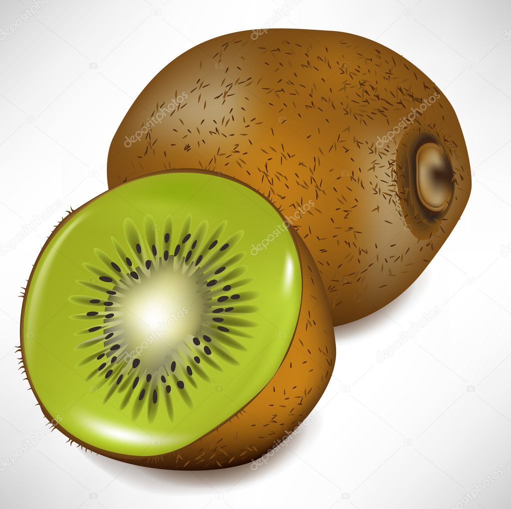 kiwi fruit and lateral view of slice