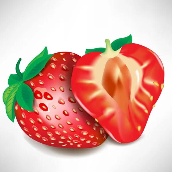 Moitié de morceau de fraise et fruits entiers — Image vectorielle