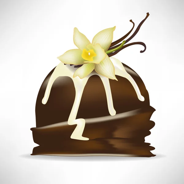 Cuillère au chocolat de crème glacée à la vanille — Image vectorielle