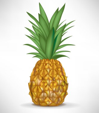 fresh single pineapple isolated clipart