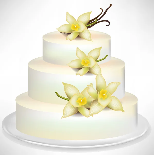 Elegantní vanilkový dort — Stockový vektor