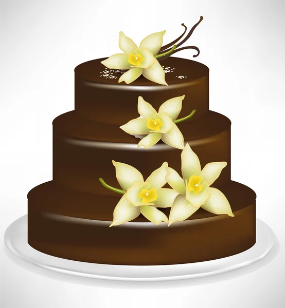 Élégant gâteau au chocolat et vanille — Image vectorielle