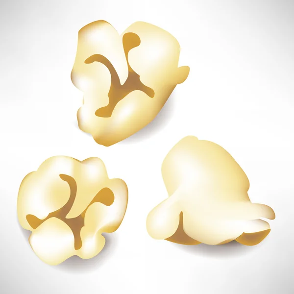 Three single pieces of isolated popcorn — Stock Vector