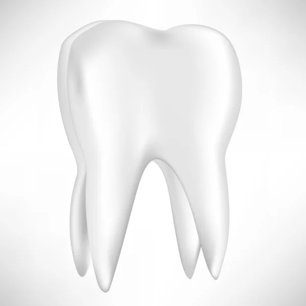 Enskild tand isolerad på vit — Stock vektor