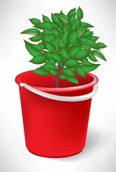 Balde vermelho com pequena árvore isolada em branco — Vetor de Stock