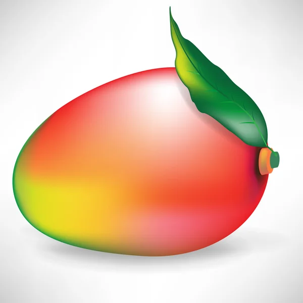 分離した葉を持つ単一マンゴー果実 — ストックベクタ