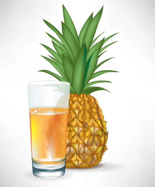 Verre de jus d'ananas frais avec fruits isolés — Image vectorielle