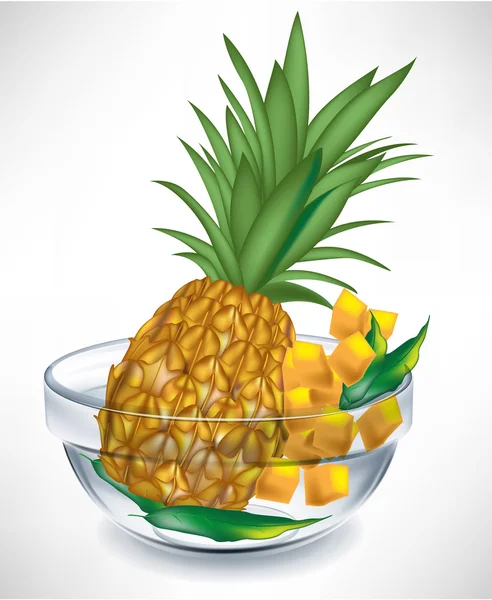 Pineapple fruit and slices in transparent bowl — Stock Vector