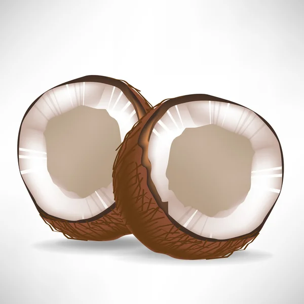 Dos cocos rotos aislados — Vector de stock