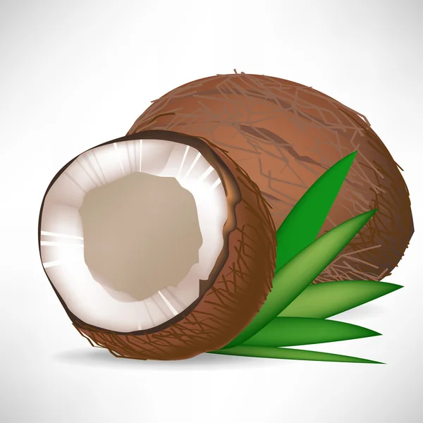 Einzelne rissige Kokosnuss und ganze Kokosnuss mit Blättern — Stockvektor
