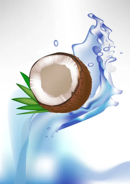 Kaputte Kokosnuss und Blätter im Spritzwasser — Stockvektor