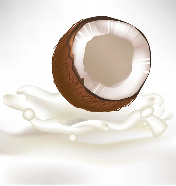 Fresh coconut falling in milk splash — Stock Vector