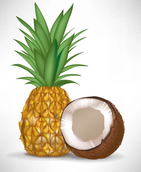 Cracked coconut and pineapple isolated — Stock Vector