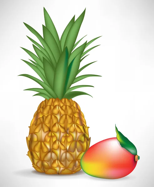 Mangue juteuse et ananas isolés — Image vectorielle