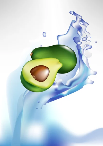 Fresh avocado fruit in splash of water — Stock Vector