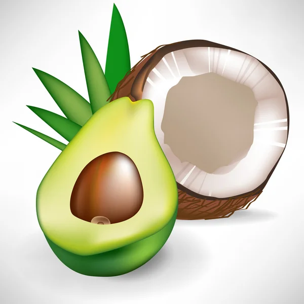 Avocado and broken coconut isolated on white background — Stock Vector
