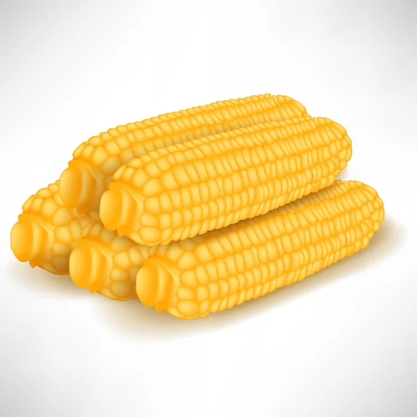 Pile of corncobs isolated — Stock Vector
