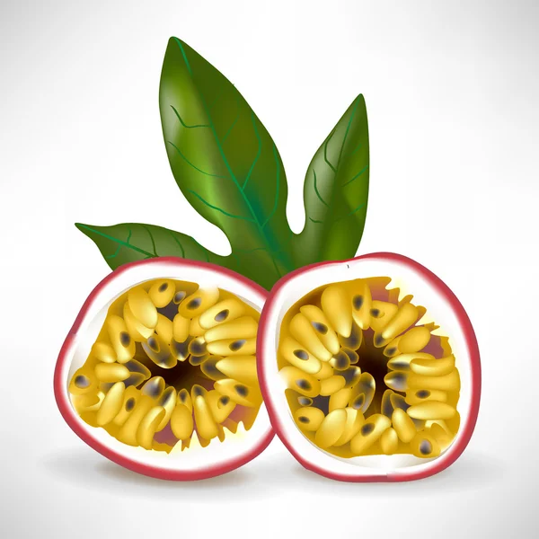 Two halfs of passion fruit with leaf isolated — Stock Vector