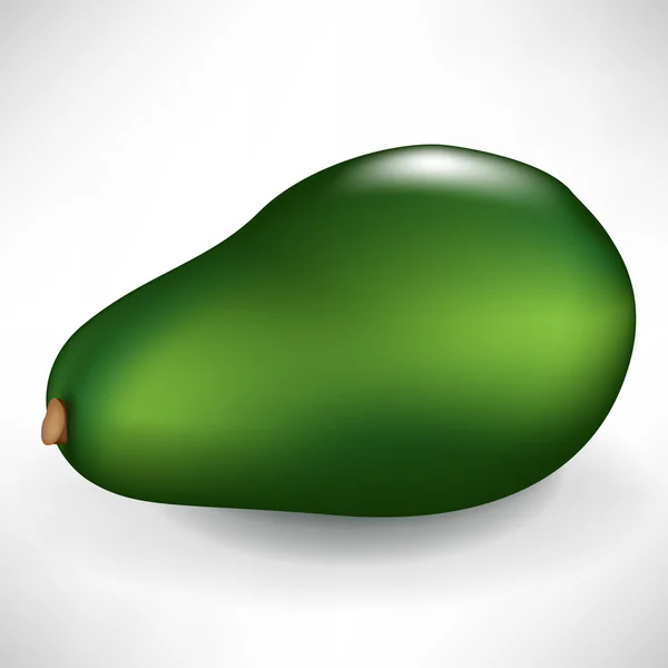 Single whole avocado fruit isolated — Stock Vector