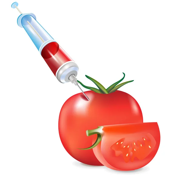 Modificação genética de vegetais; tomate e seringa —  Vetores de Stock