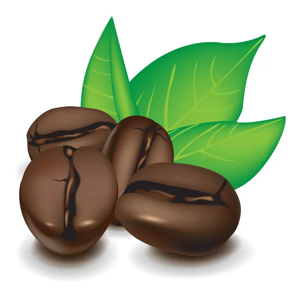 コーヒー豆と葉のグループ — ストックベクタ
