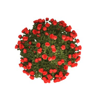 Planet-like bush of red roses clipart