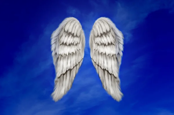 Alas de ángel — Foto de Stock