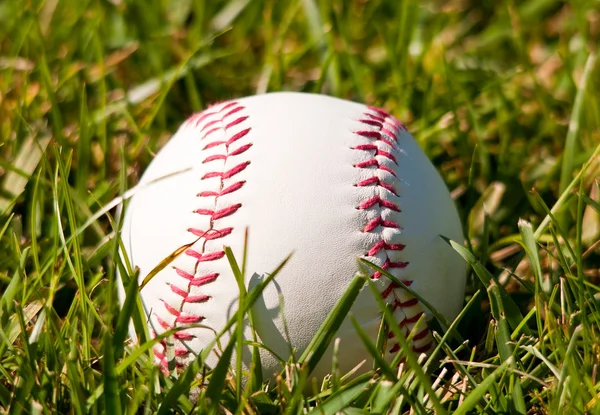 stock image Baseball